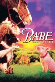 Babe – świnka z klasą